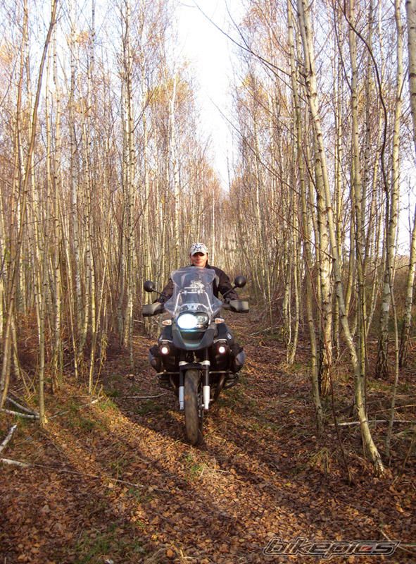 2008 BMW R 1200 GS ADVENTURE | Picture 1582517 motorcycle photo