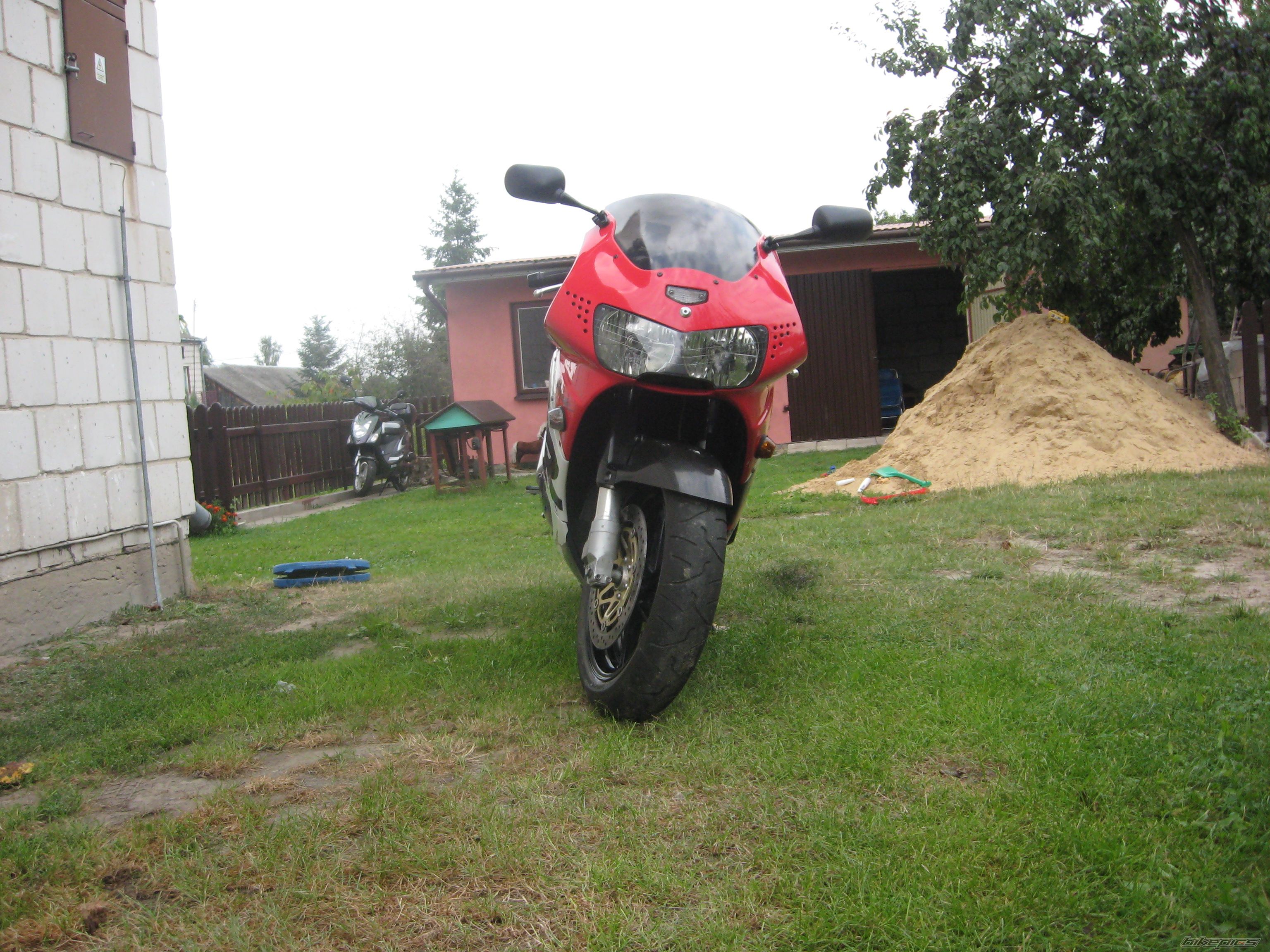1999 HONDA CBR 900 | Picture 1583145 motorcycle photo