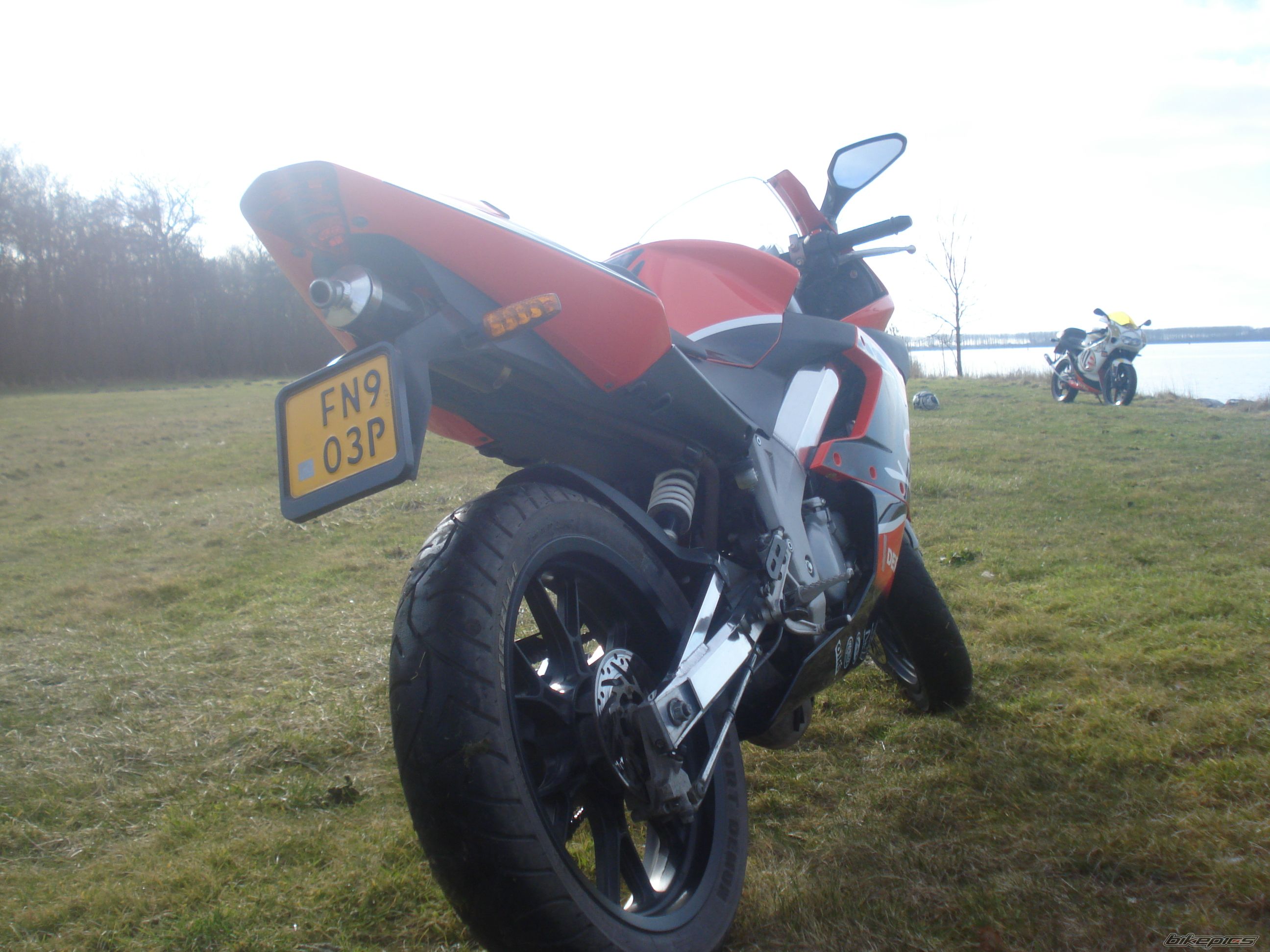 2008 DERBI GPR 50 REPLICA | Picture 1583146 motorcycle photo