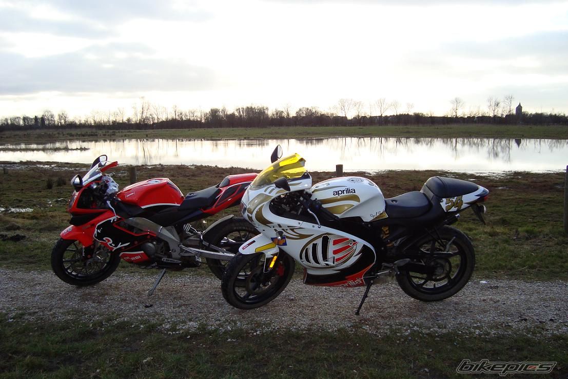 2008 DERBI GPR 50 REPLICA | Picture 1583147 motorcycle photo