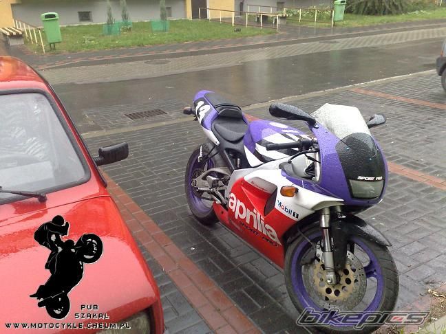 1997 APRILIA RS 125 | Picture 1583162 motorcycle photo
