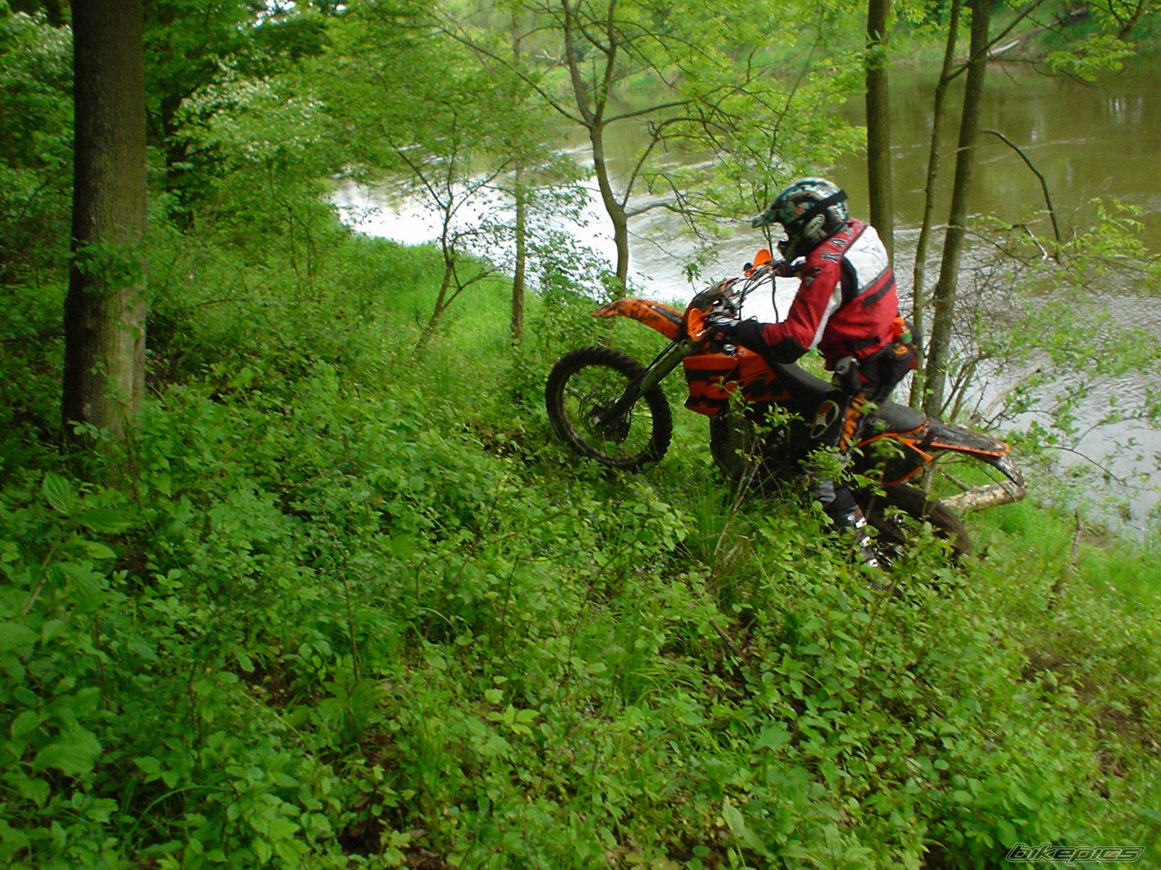 2004 KTM 450 EXC | Picture 158325 motorcycle photo