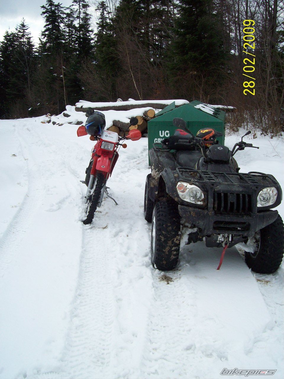 1999 KAWASAKI KMX 125 | Picture 1585496 motorcycle photo