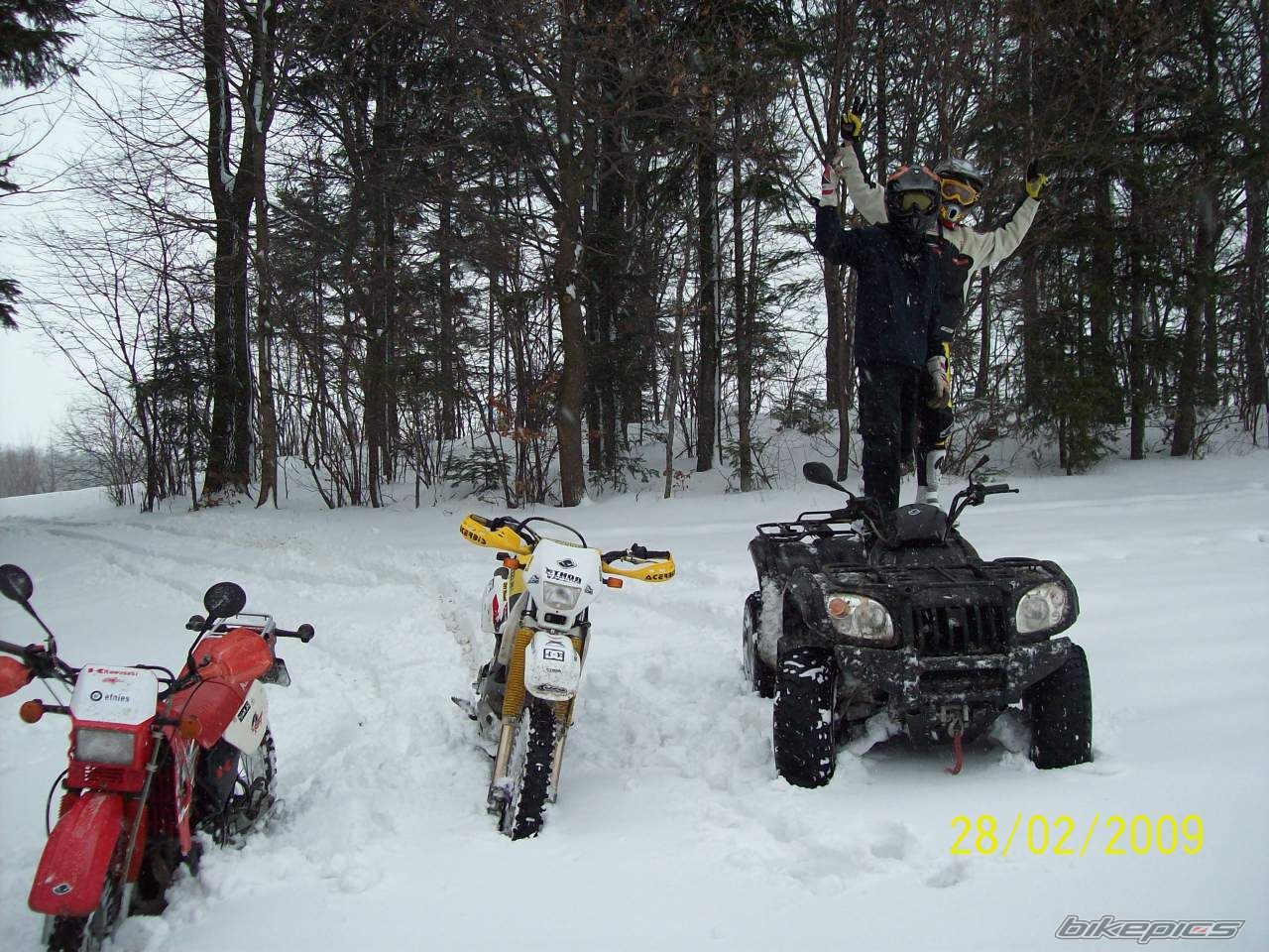 1999 KAWASAKI KMX 125 | Picture 1585542 motorcycle photo
