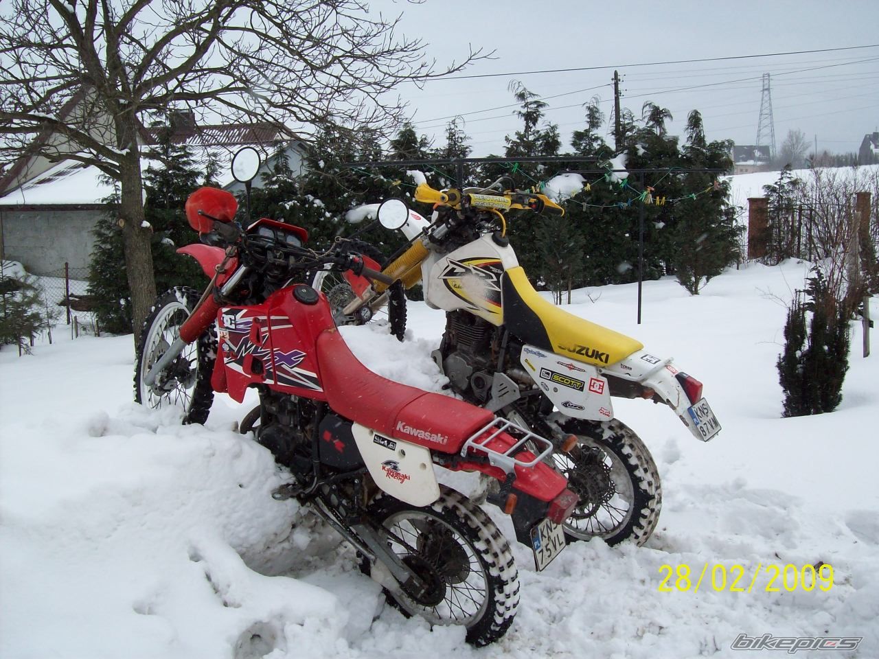 1999 KAWASAKI KMX 125 | Picture 1585567 motorcycle photo