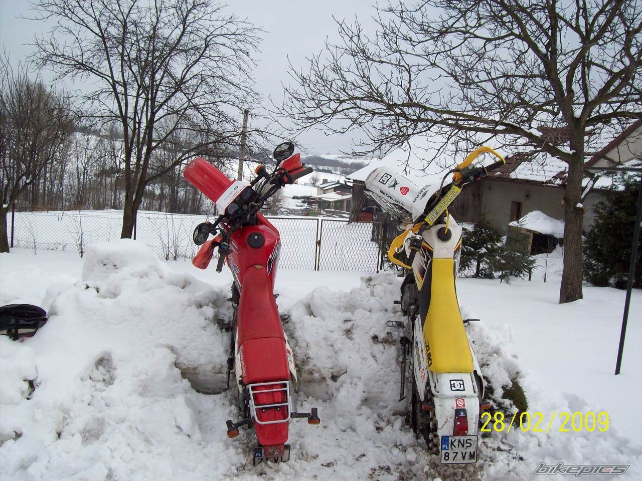 1999 KAWASAKI KMX 125 | Picture 1585580 motorcycle photo
