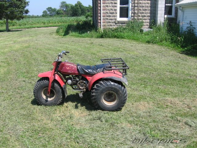 1979 HONDA ATC 110 | Picture 1586414 motorcycle photo