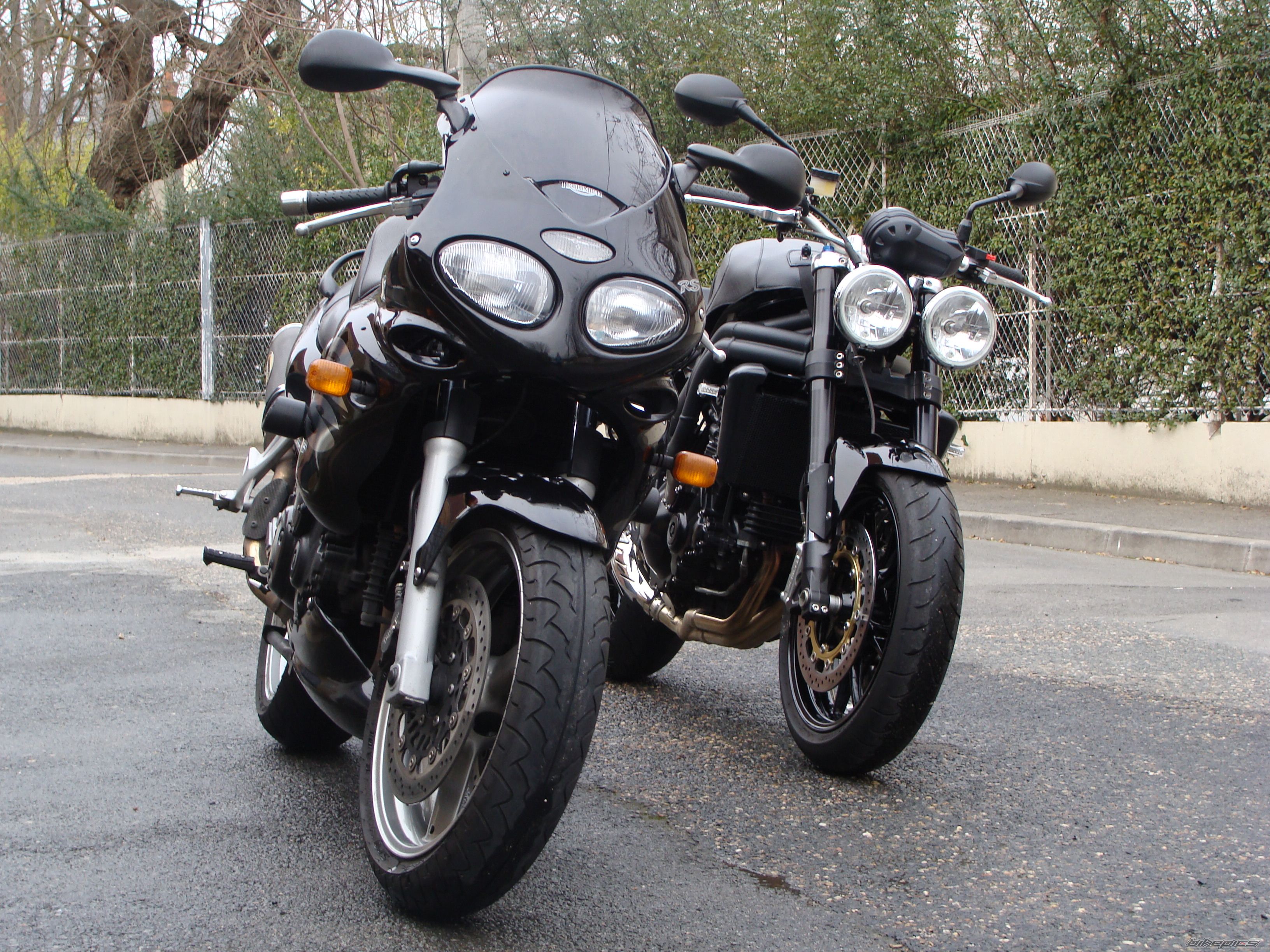 2008 TRIUMPH SPEED TRIPLE | Picture 1586591 motorcycle photo