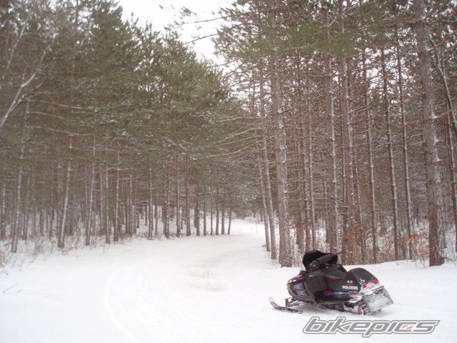 1998 POLARIS INDY 500 | Picture 1587607 motorcycle photo