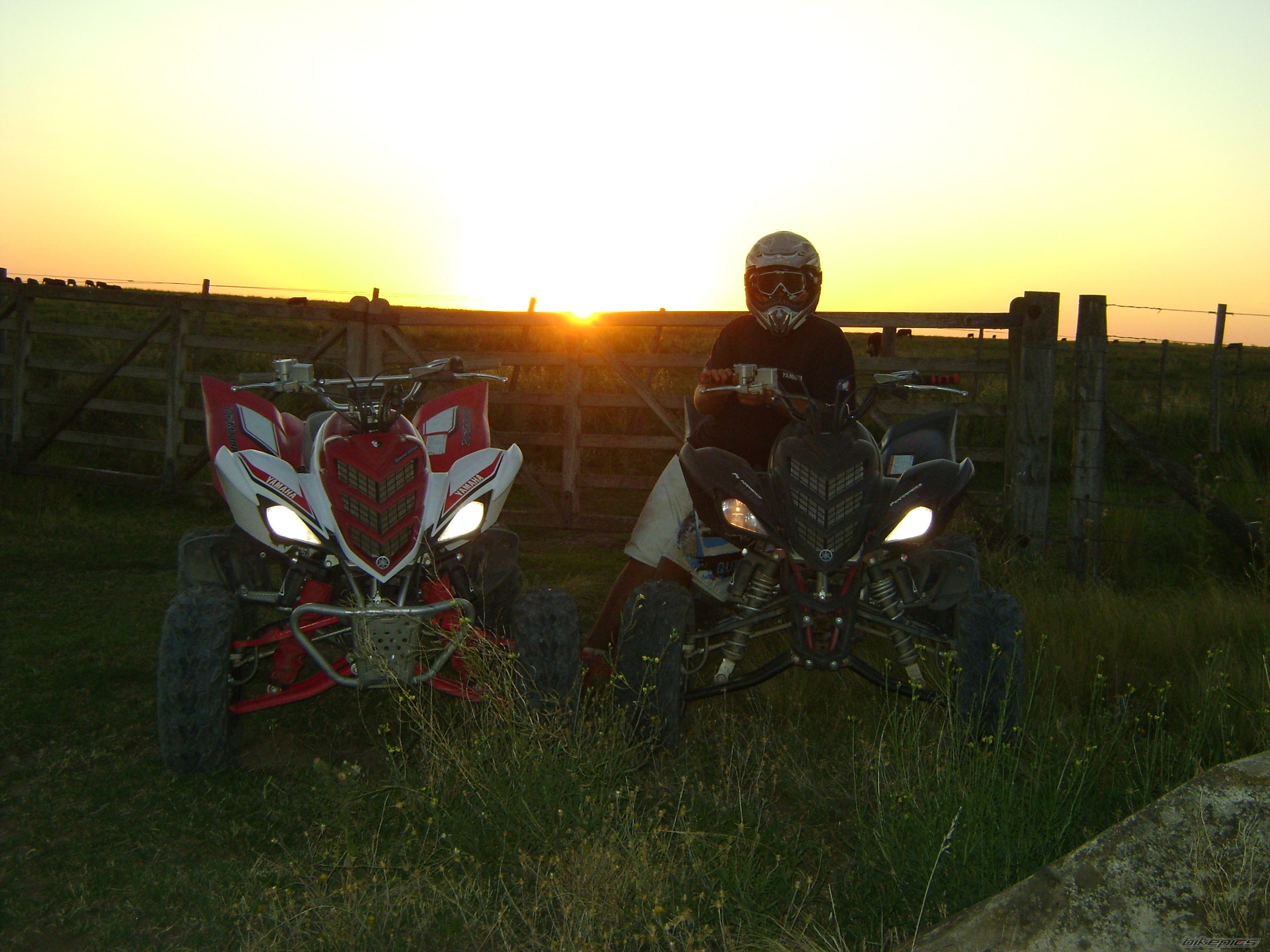 2008 YAMAHA RAPTOR 700R | Picture 1587813 motorcycle photo