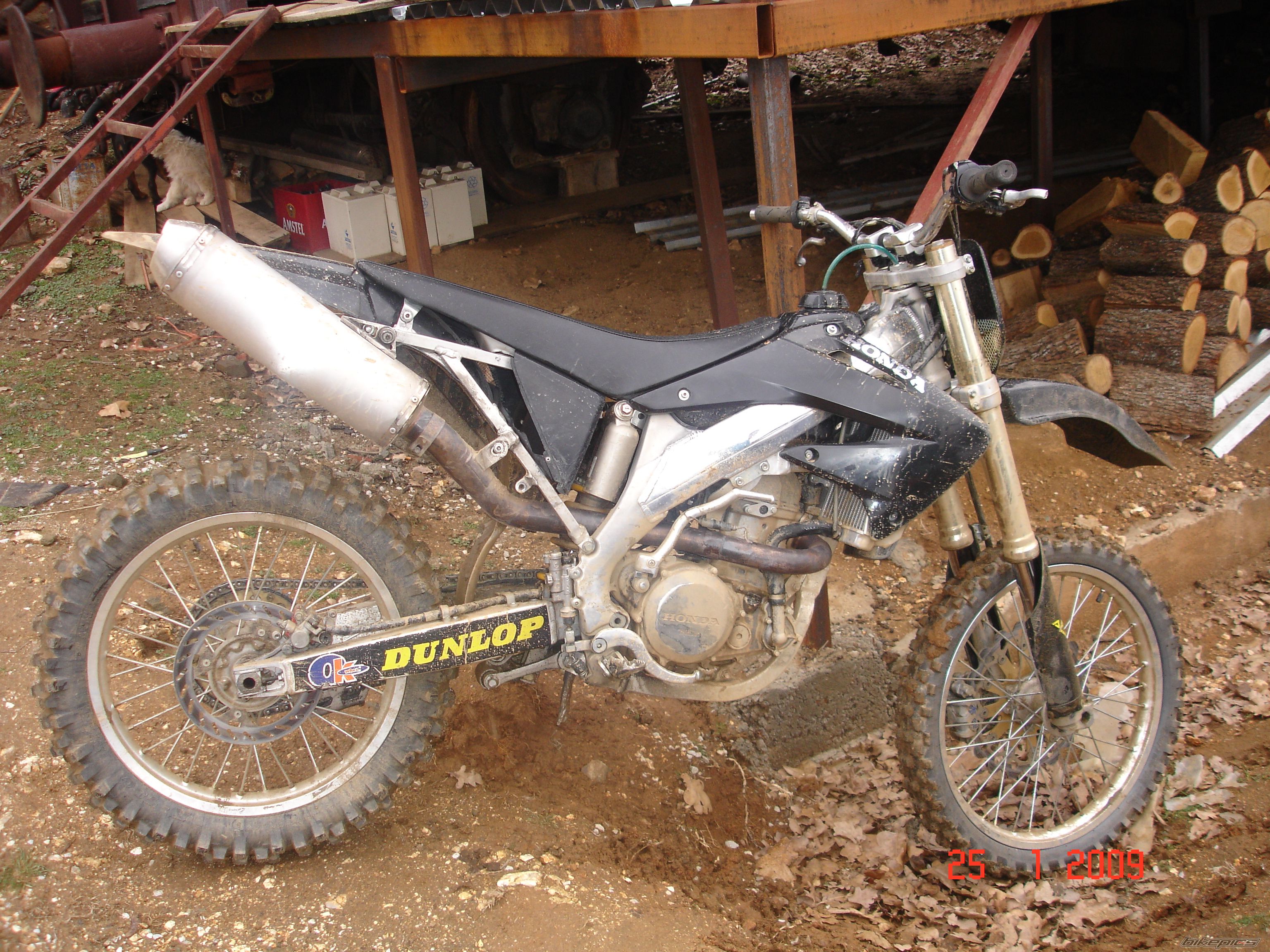2009 HONDA CRF 450 | Picture 1588185 motorcycle photo