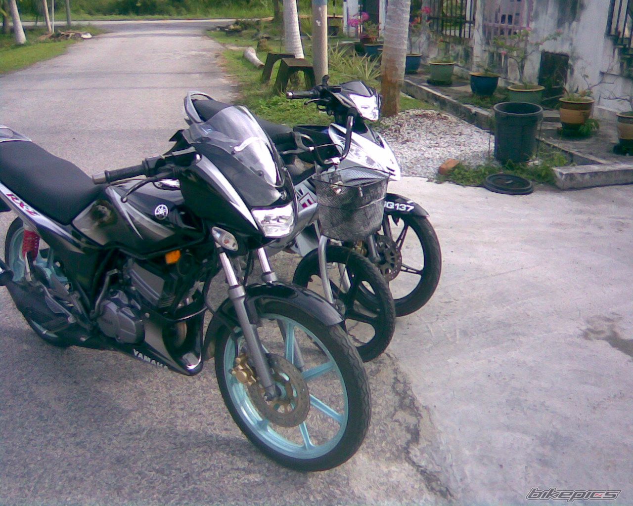 2009 YAMAHA 135 LC | Picture 1588456 motorcycle photo