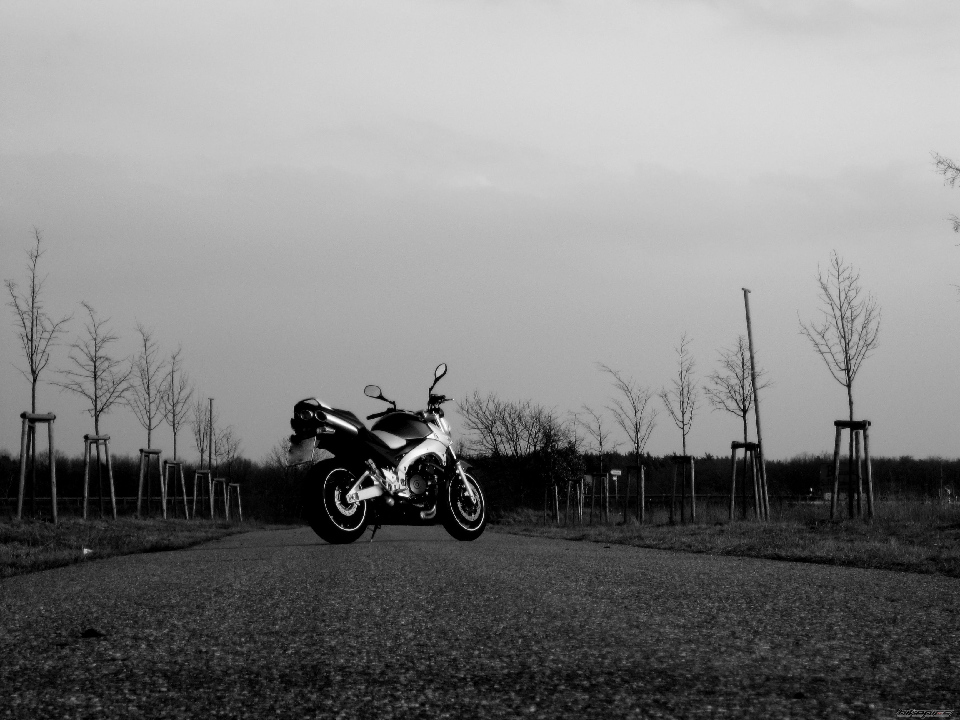 2007 SUZUKI GSR 600 | Picture 1588756 motorcycle photo