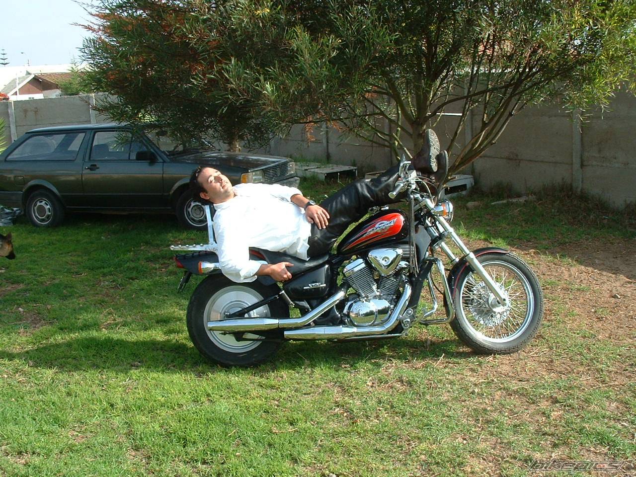 1996 HONDA STEED 400 | Picture 158890 motorcycle photo