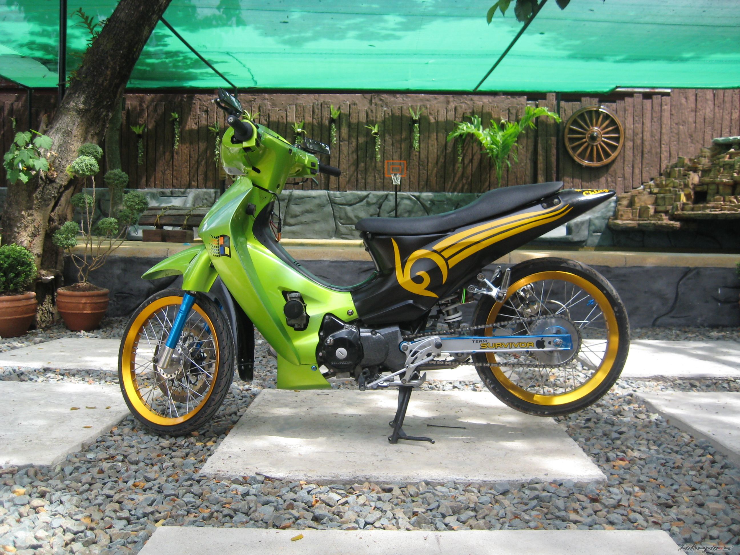 2009 HONDA WAVE 125 | Picture 1588926 motorcycle photo
