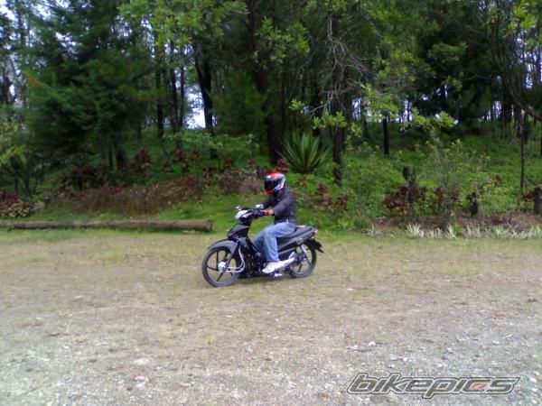 2009 HONDA HONDA CD100 | Picture 1588978 motorcycle photo