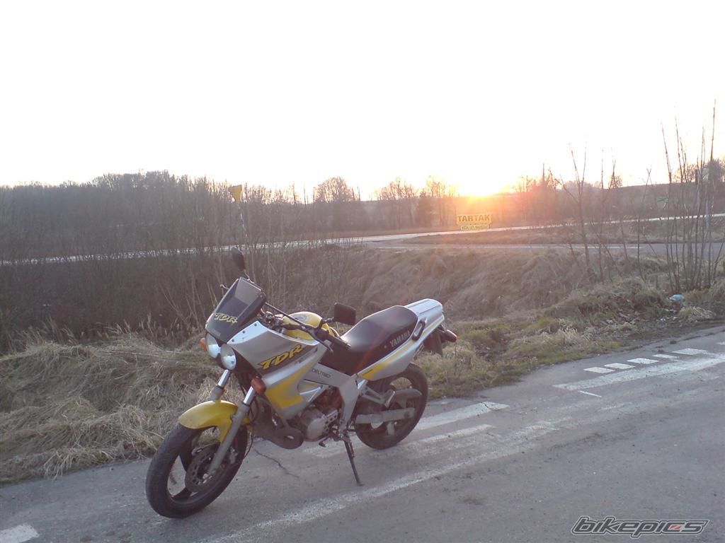 1998 YAMAHA TDR 125 | Picture 1589438 motorcycle photo
