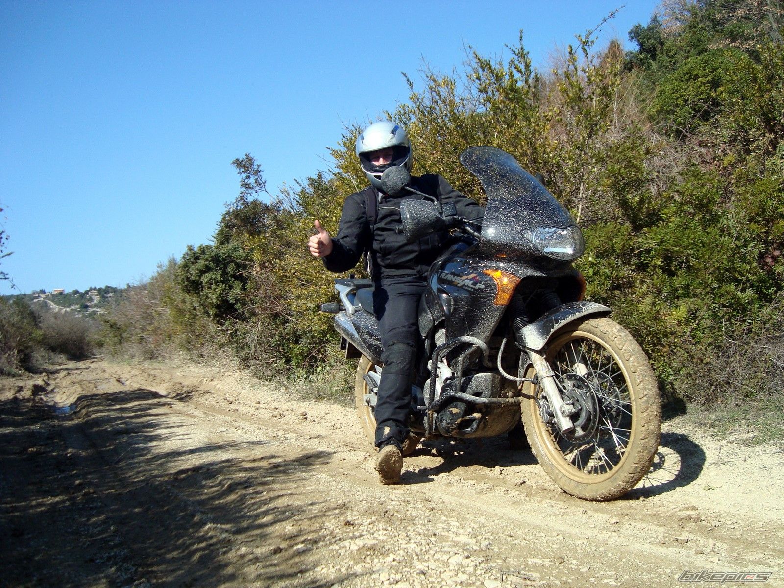 2000 HONDA XL 650V TRANSALP | Picture 1589439 motorcycle photo