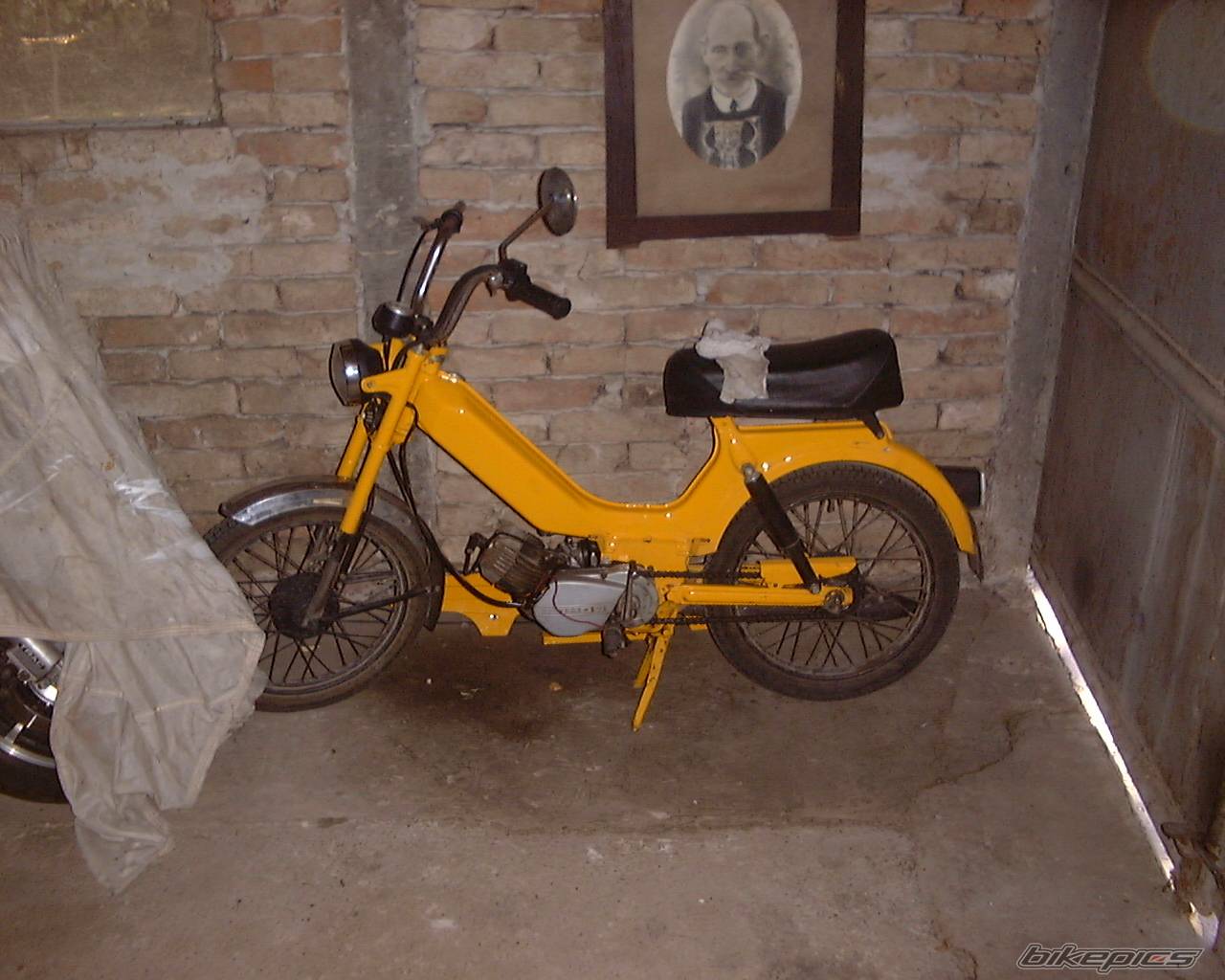 1981 TOMOS AUTOMATIK | Picture 158950 motorcycle photo
