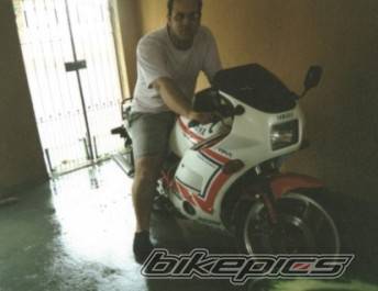 1989 YAMAHA RD 350 | Picture 158960 motorcycle photo