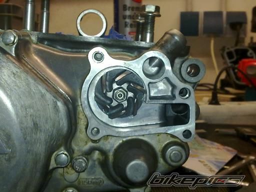 1999 HONDA CR 250 | Picture 1589640 motorcycle photo