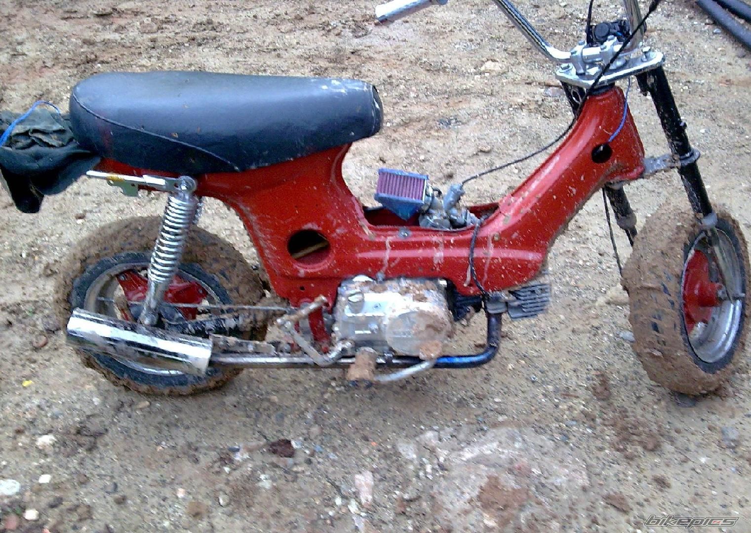 2009 HONDA CHALY | Picture 1589642 motorcycle photo