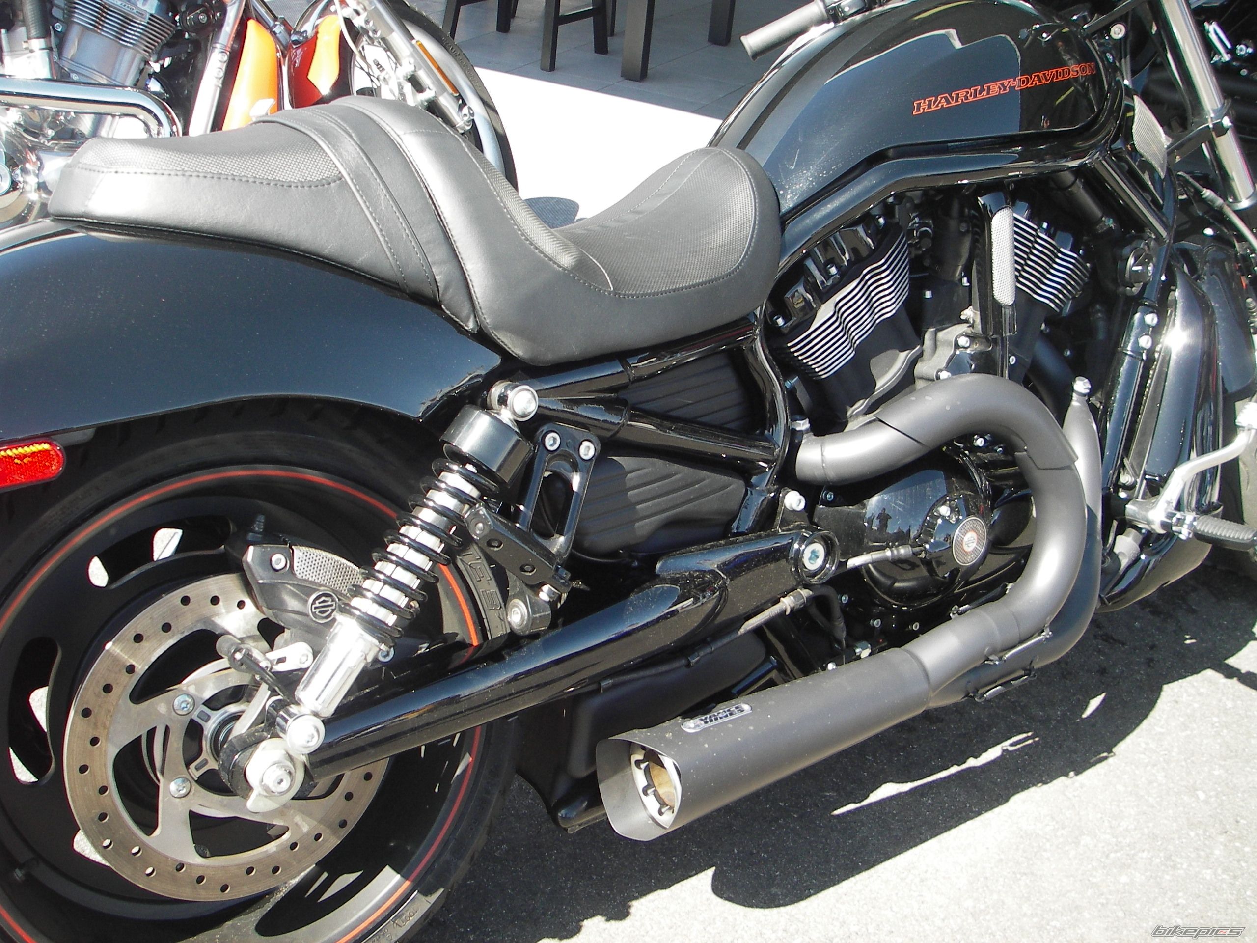    | Picture 1589652 motorcycle photo