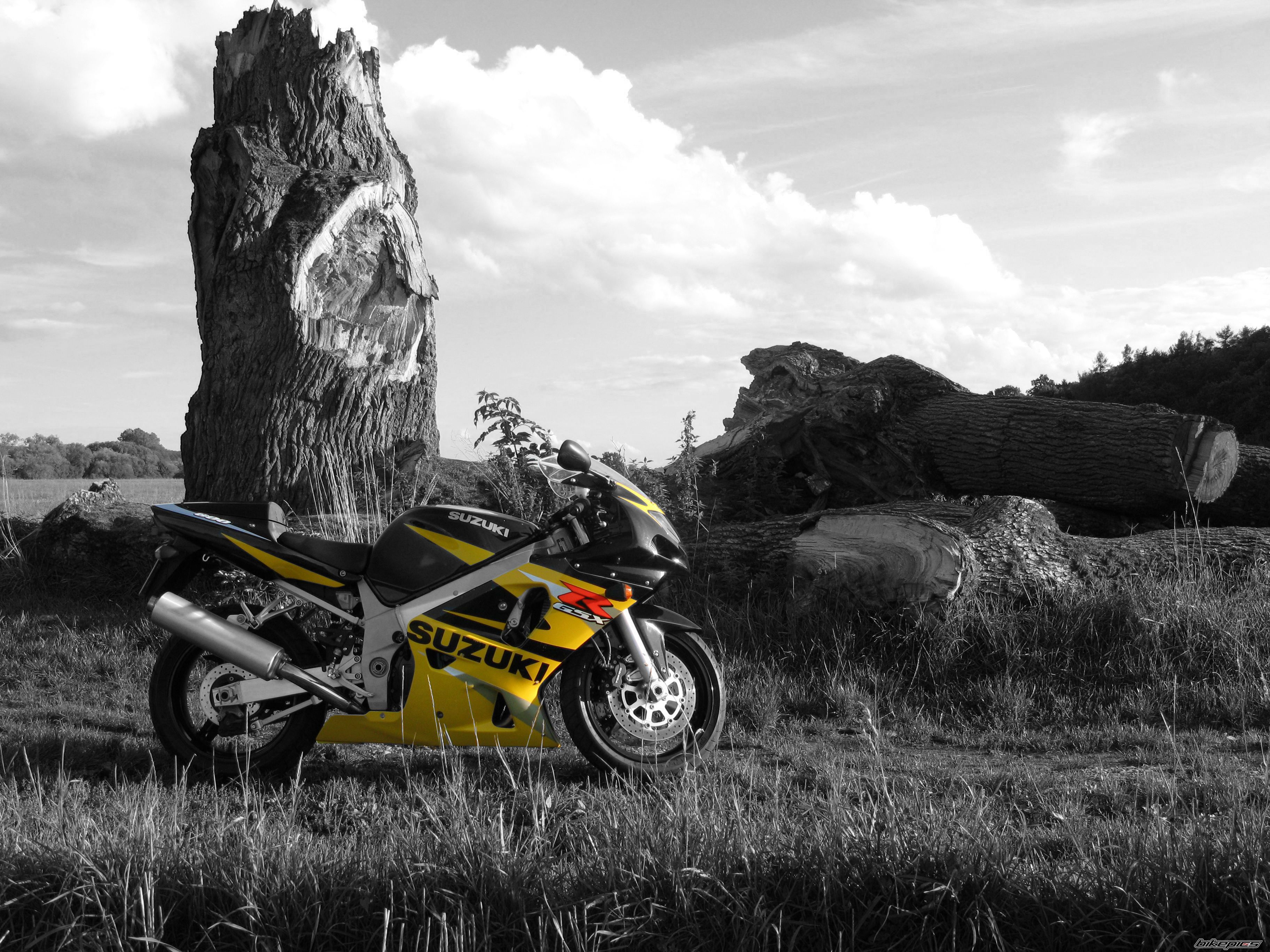 2002 SUZUKI GSX R 600 | Picture 1589915 motorcycle photo