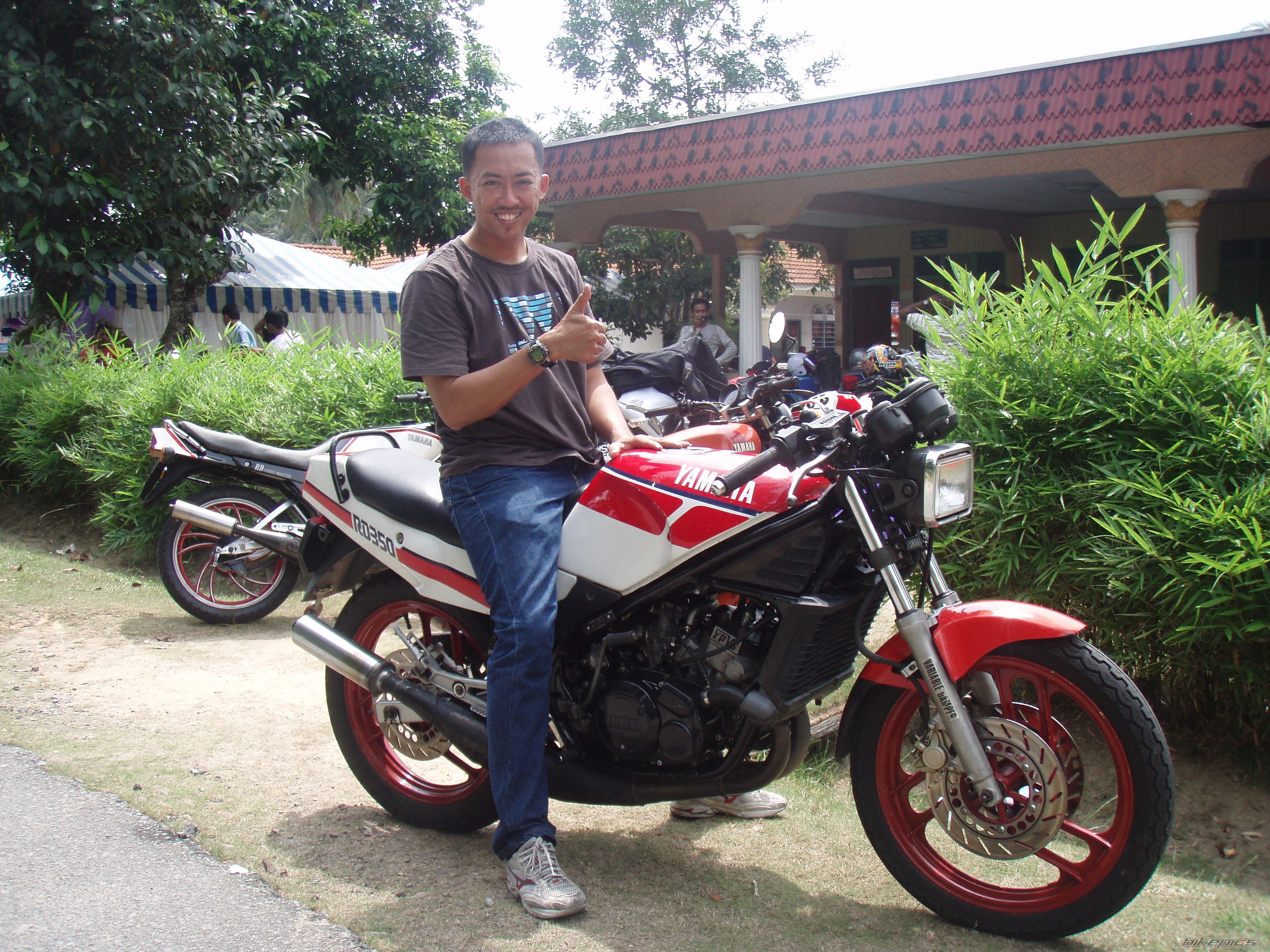 1986 YAMAHA RZ 350 | Picture 1589976 motorcycle photo