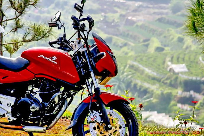 2008 BAJAJ PULSAR 200 | Picture 1590070 motorcycle photo