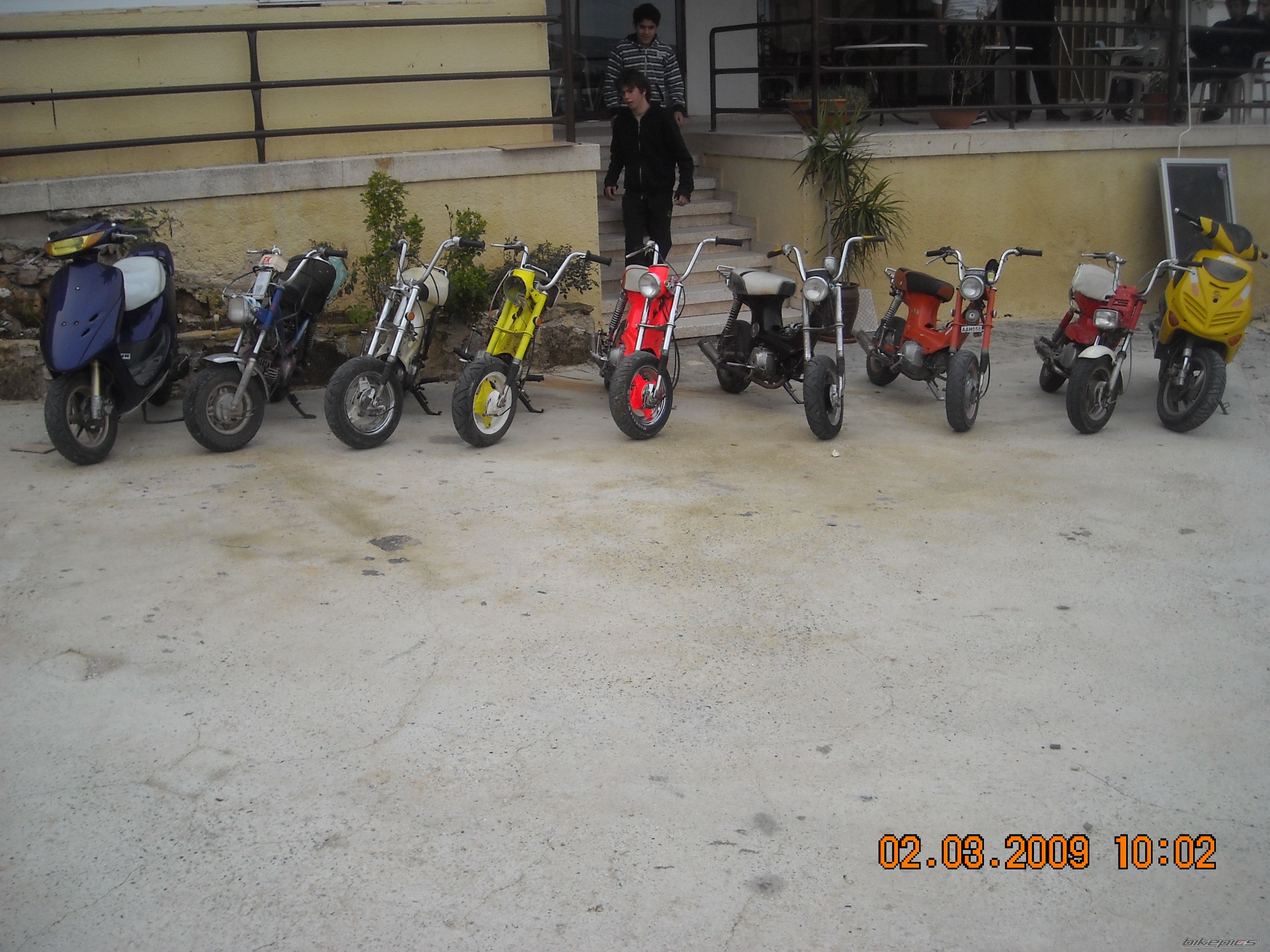 2009 HONDA CHALY | Picture 1590378 motorcycle photo