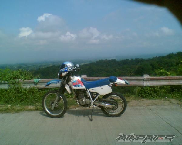1994 HONDA XR 250 BAJA | Picture 1590942 motorcycle photo