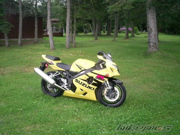 2004 SUZUKI GSX R 600 | Picture 1591172 motorcycle photo