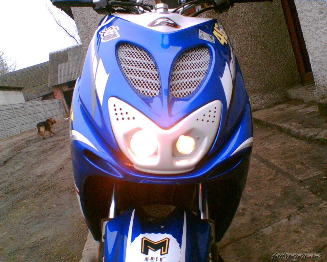 2007 YAMAHA AEROX 50 | Picture 1591933 motorcycle photo