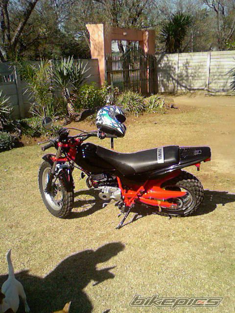 2001 YAMAHA TW 200 | Picture 1592494 motorcycle photo