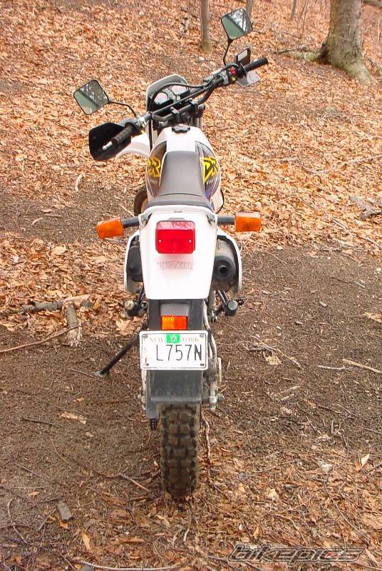 1999 SUZUKI DR 350 | Picture 159277 motorcycle photo