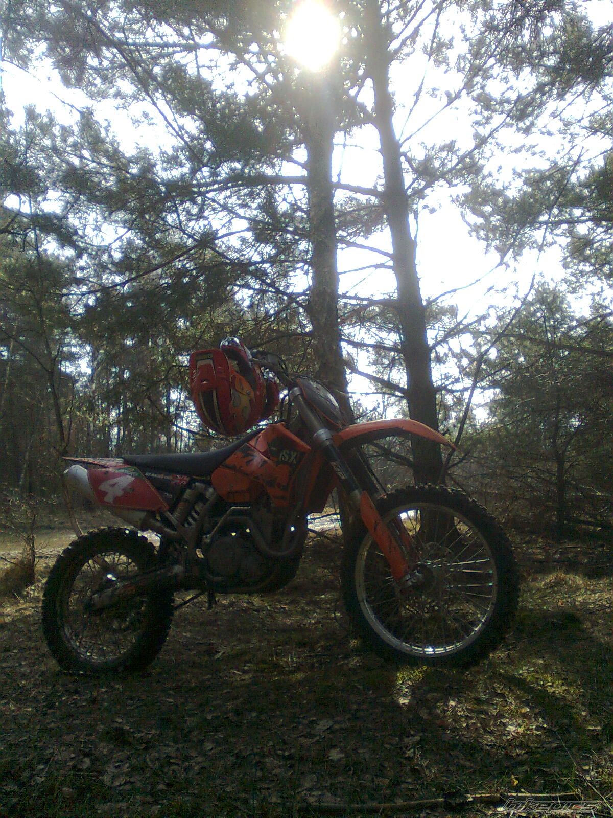 2004 KTM 450 SX | Picture 1593337 motorcycle photo