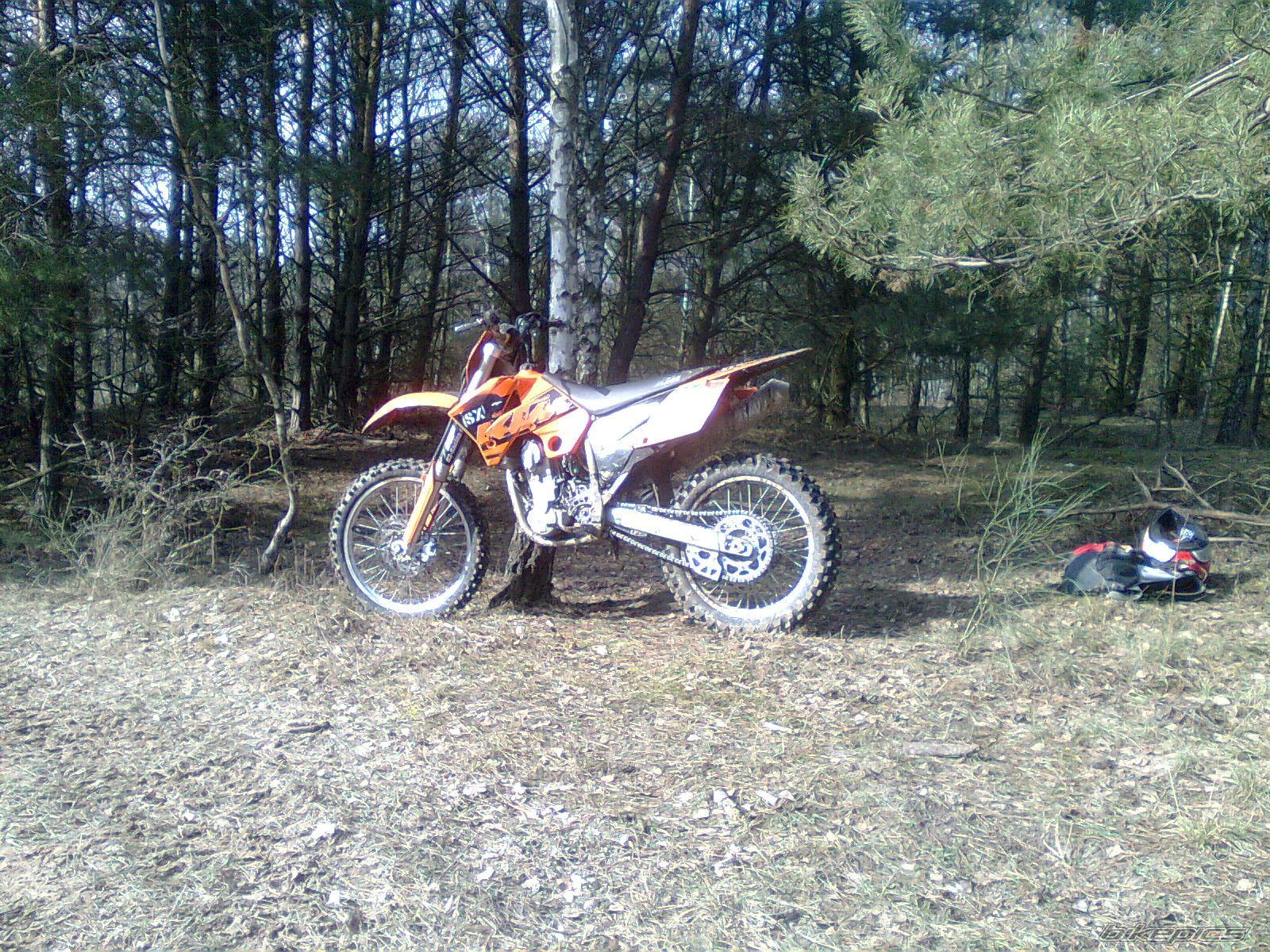 2004 KTM 450 SX | Picture 1593345 motorcycle photo