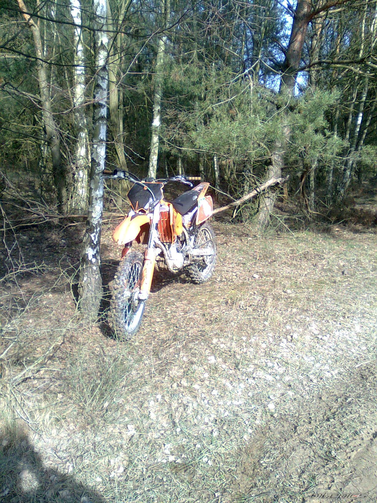 2004 KTM 450 SX | Picture 1593348 motorcycle photo