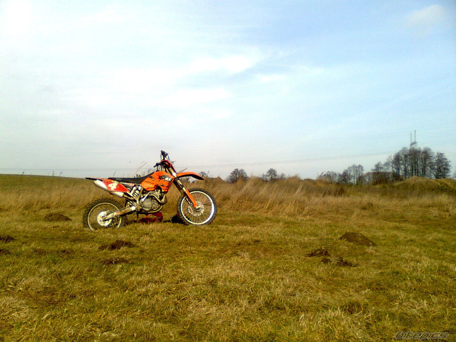 2004 KTM 450 SX | Picture 1593355 motorcycle photo