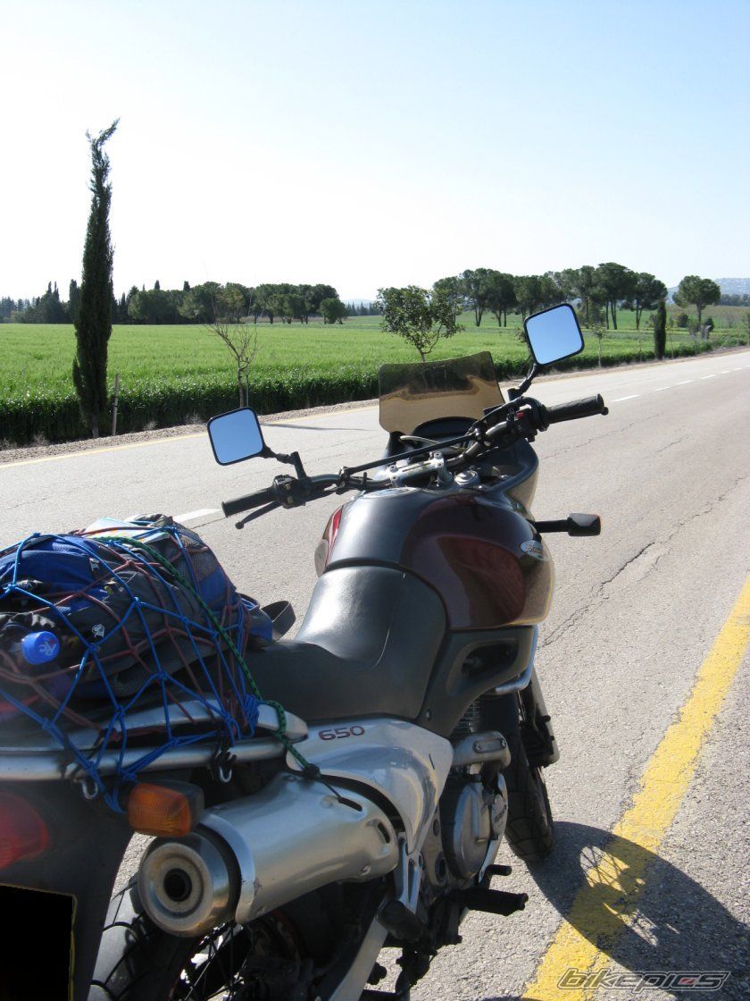 1998 SUZUKI XF 650 | Picture 1593388 motorcycle photo