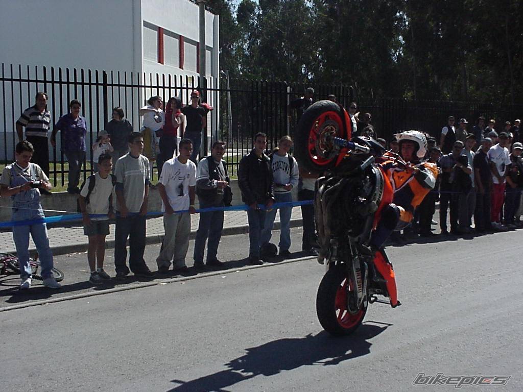 1996 HONDA CBR 900 | Picture 15934 motorcycle photo