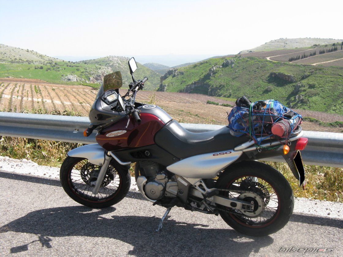 1998 SUZUKI XF 650 | Picture 1593406 motorcycle photo