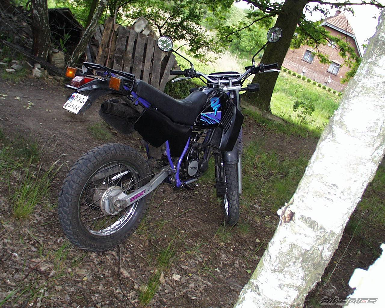 1994 YAMAHA DT 80 | Picture 159402 motorcycle photo