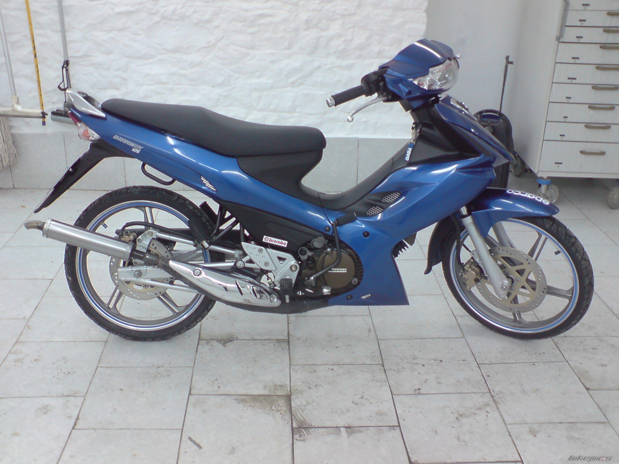 2009 MODENAS DYNAMIC 125 | Picture 1594247 motorcycle photo