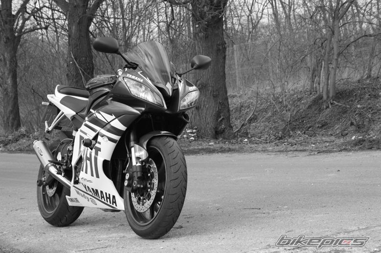 2008 YAMAHA YZF R6 | Picture 1594401 motorcycle photo