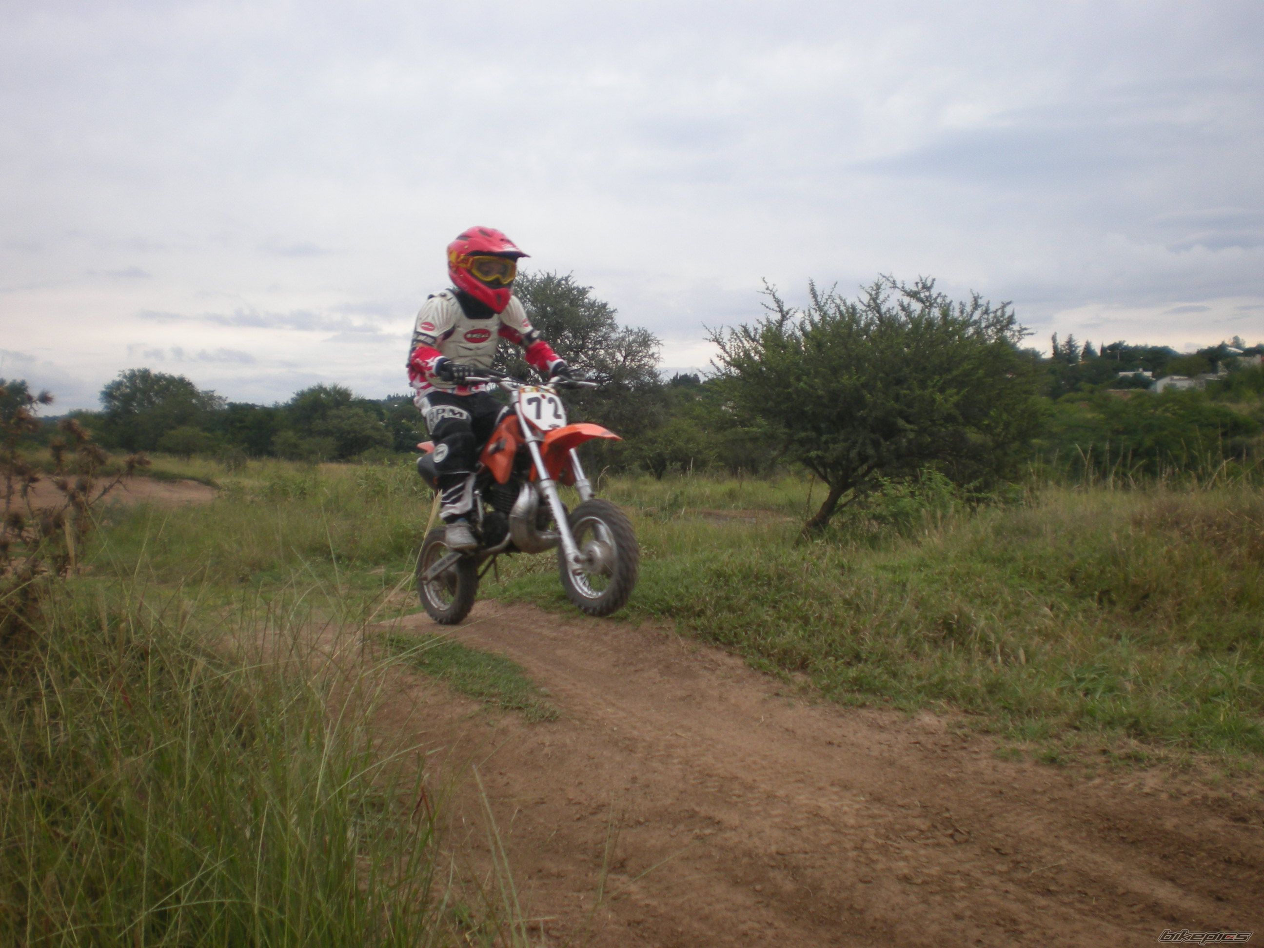 1999 KTM 50 SX PRO SR | Picture 1594418 motorcycle photo