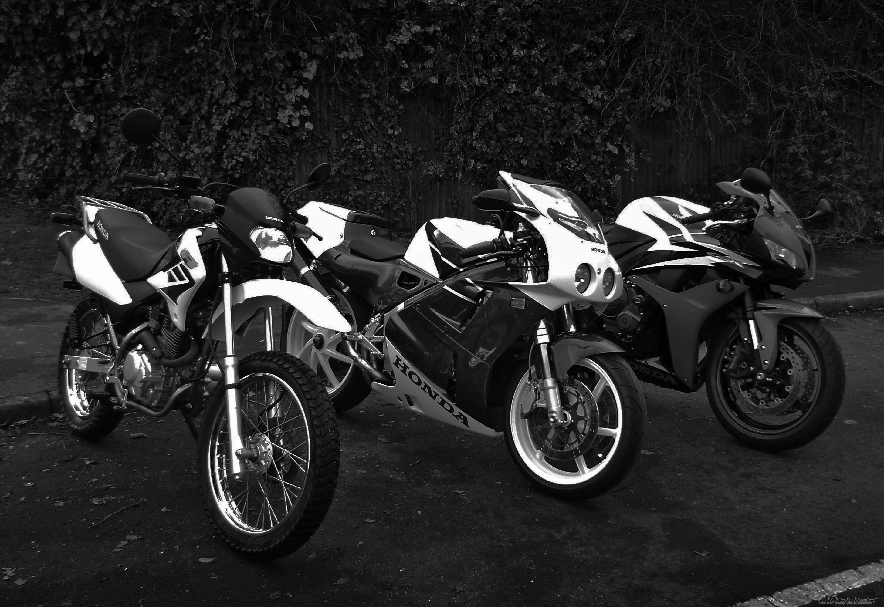 2008 HONDA XR 125 | Picture 1594890 motorcycle photo