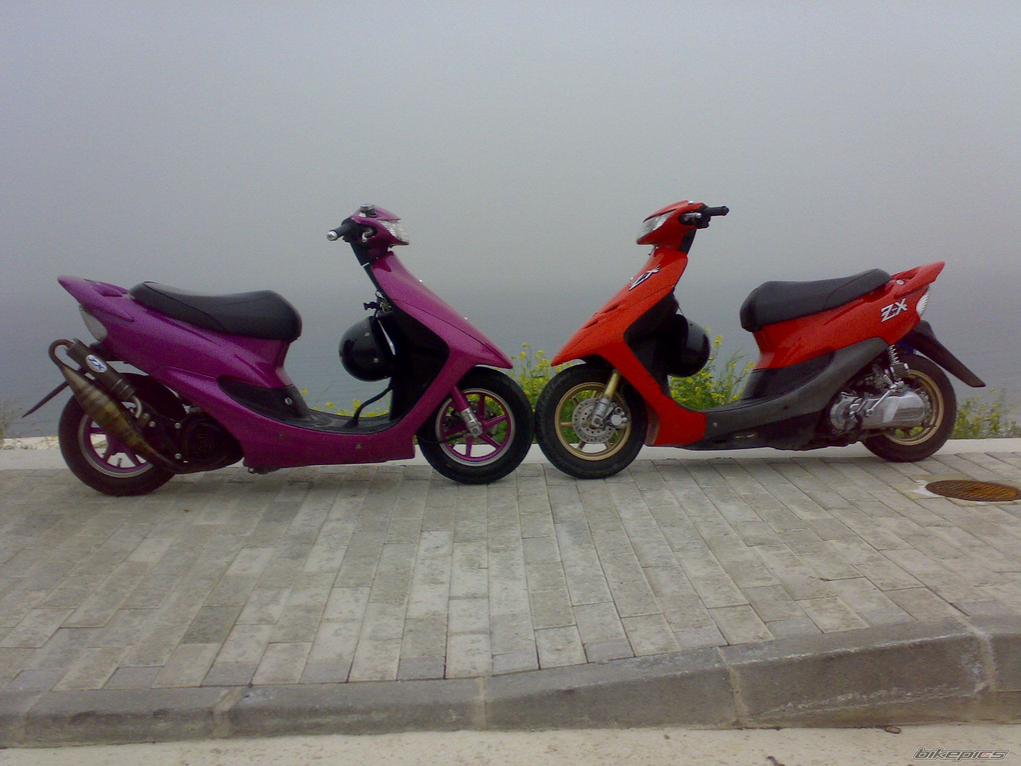 2009 HONDA DIO ZX | Picture 1595558 motorcycle photo
