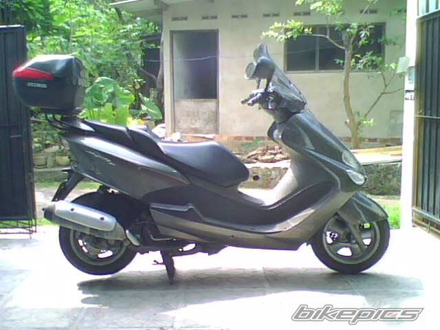 2004 YAMAHA MAJESTY 250 | Picture 1595570 motorcycle photo